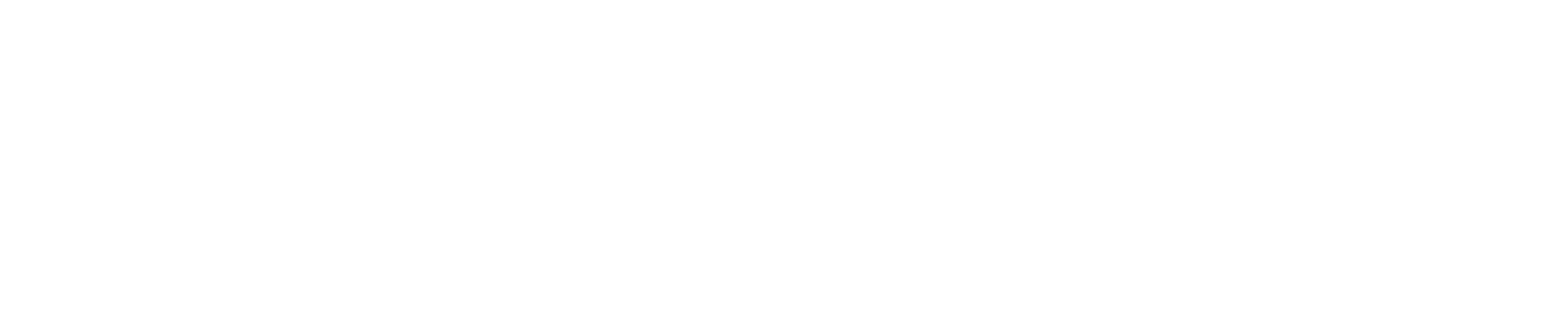 Logo Nuvia
